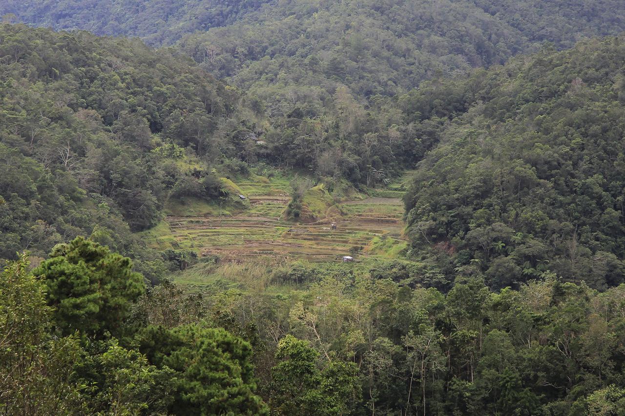 Banaue Evergreen Hostel And Restaurant Exteriör bild